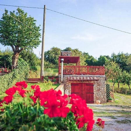 La Finestra Sul Castello Apartment Arcidosso Exterior photo